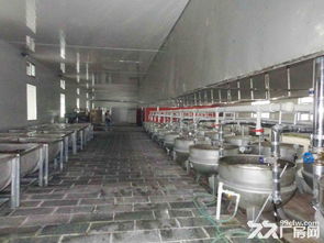 沧县优质厂房与场地出租，助力食品加工与家具纸箱企业腾飞